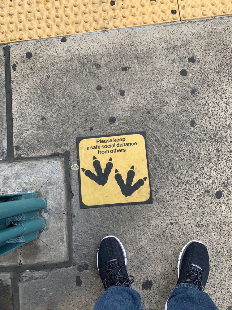 image-20241217131859-15