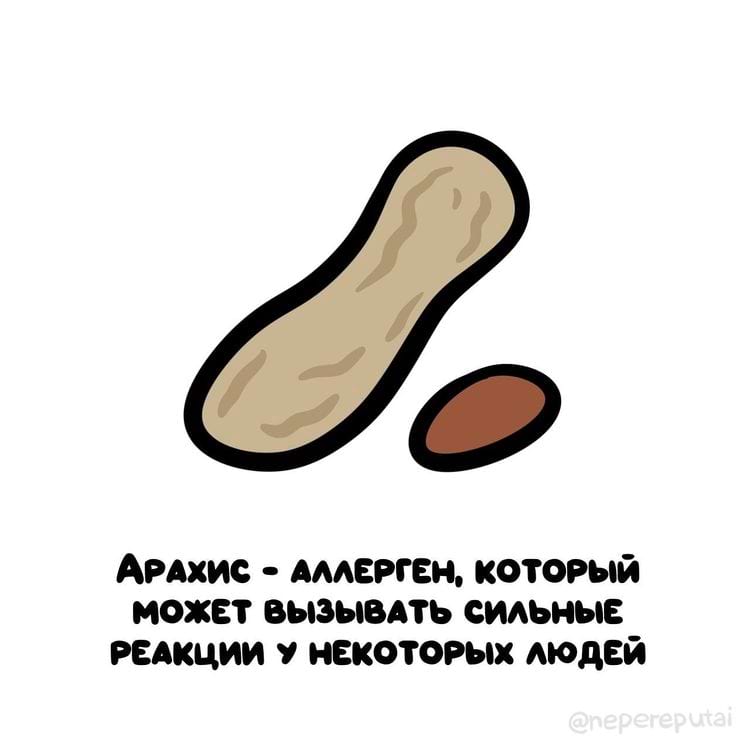 image-20241218104400-11