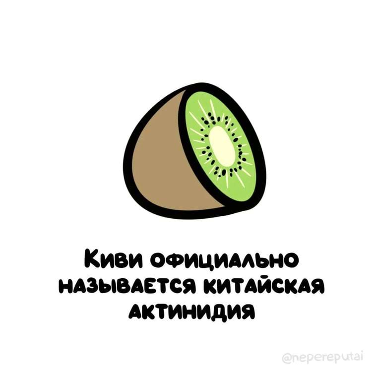 image-20241218104415-16