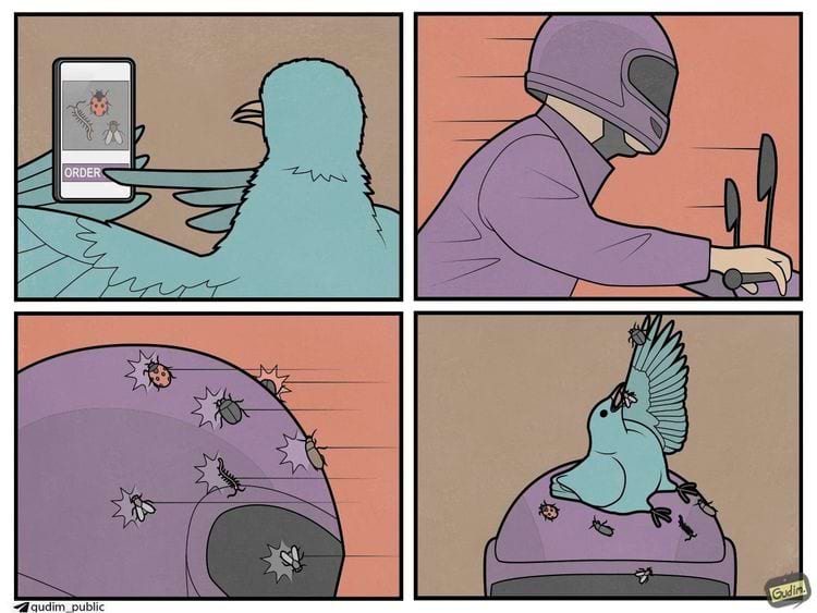 image-20241219164400-8