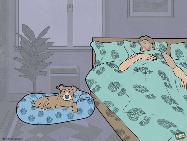 image-20241219164407-10