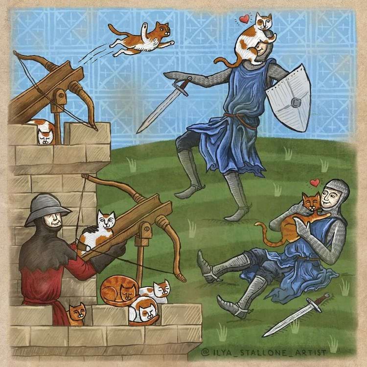 image-20241223102706-1