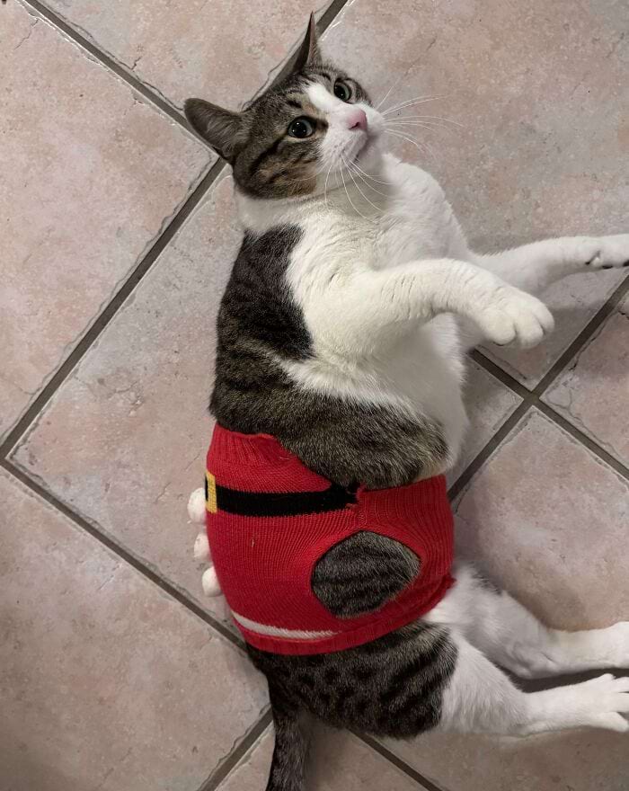 image-20241226164824-16