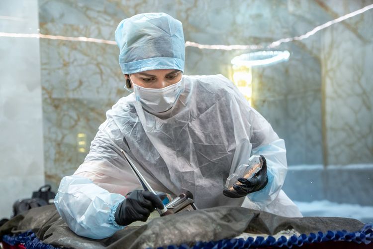 image-20250129162245-2