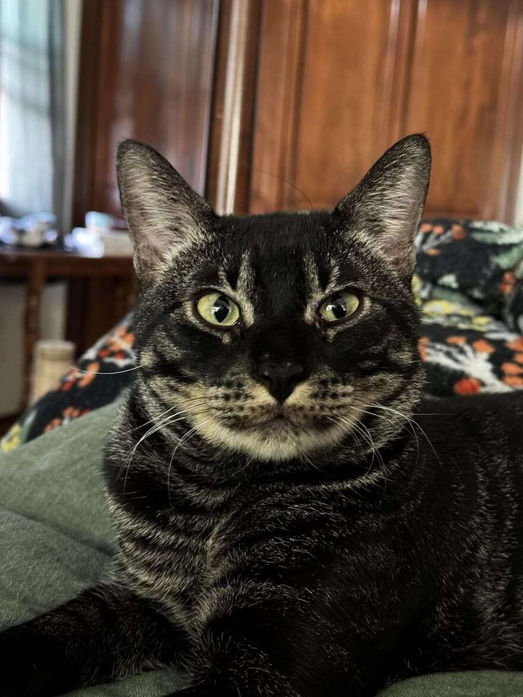 image-20250204172103-4