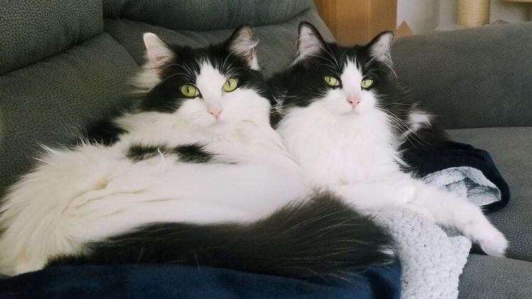 image-20250204172151-19