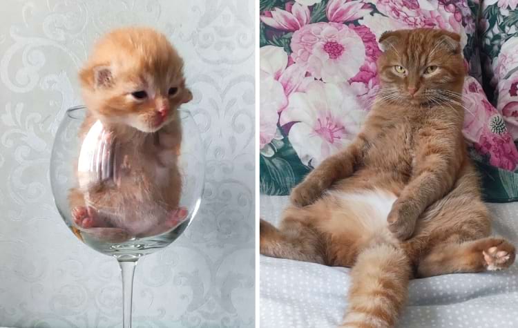 image-20250210115641-6