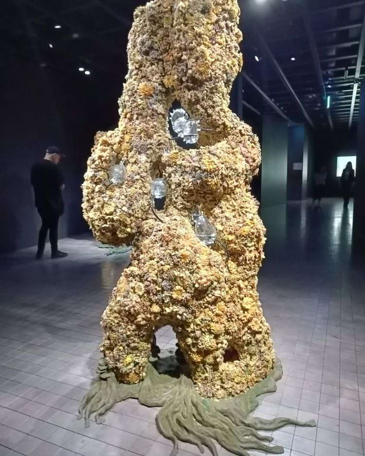 image-20250211144653-1