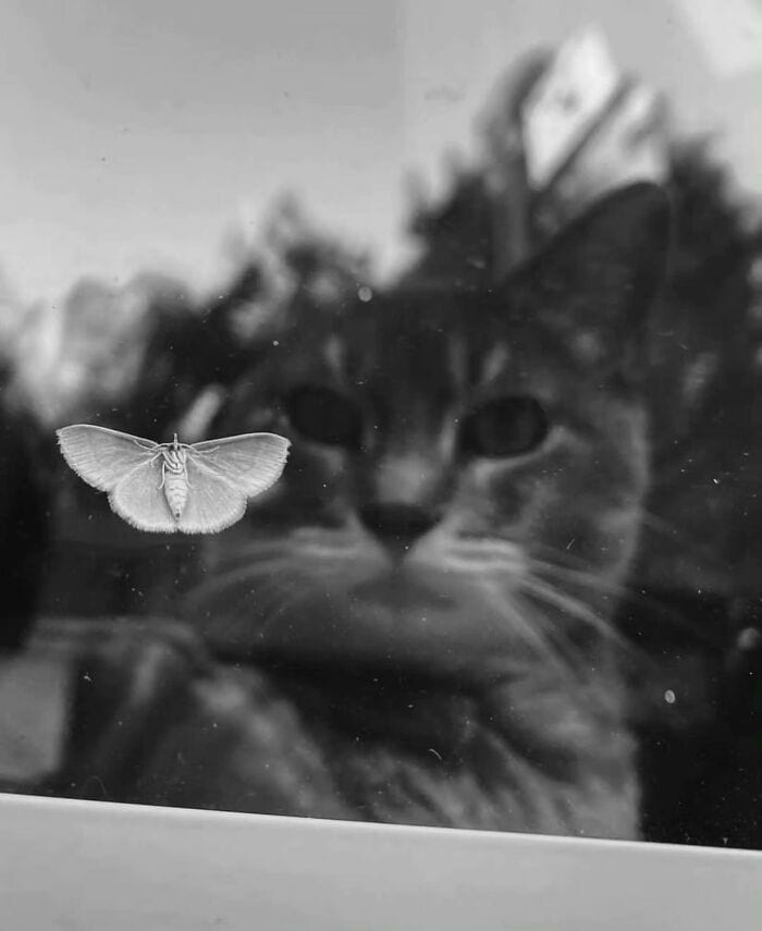 image-20250212105506-19