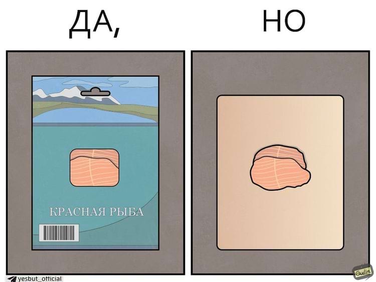 image-20250213130537-9