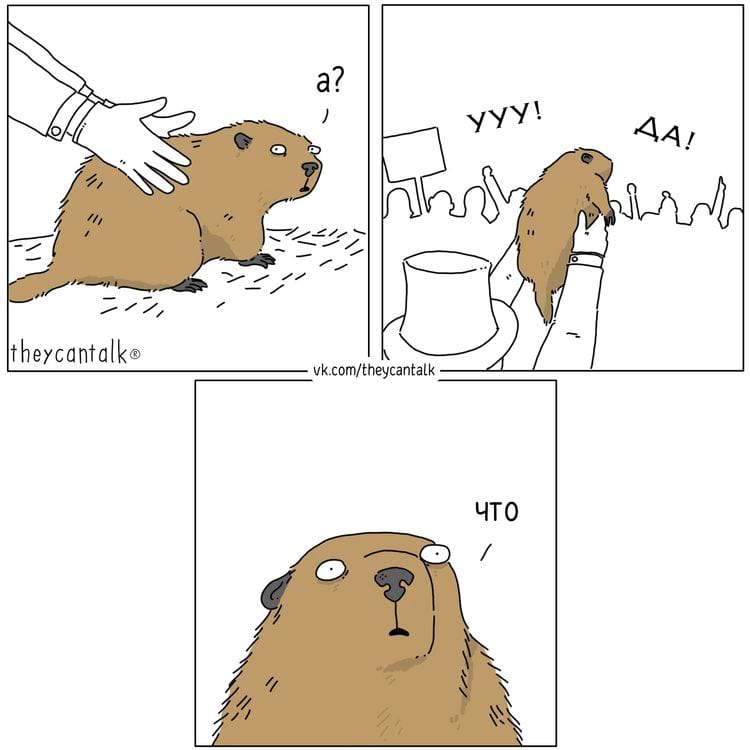 image-20250217101710-1