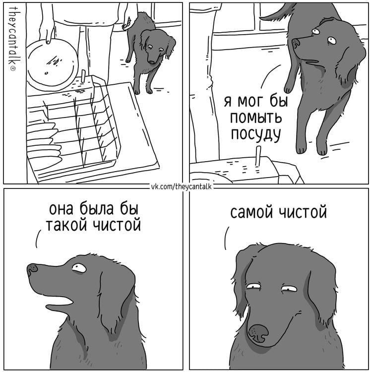 image-20250217101716-3