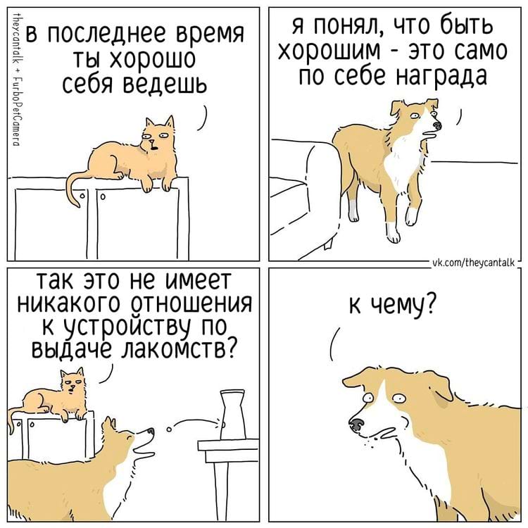 image-20250217101719-4