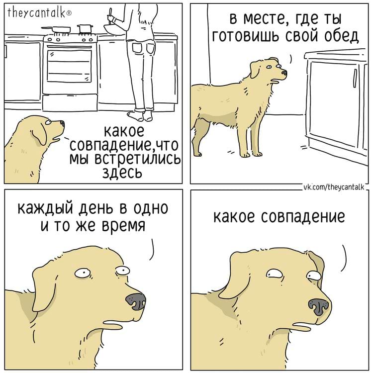 image-20250217101723-5