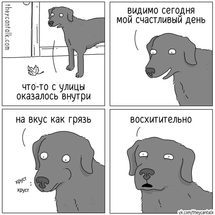 image-20250217101743-12