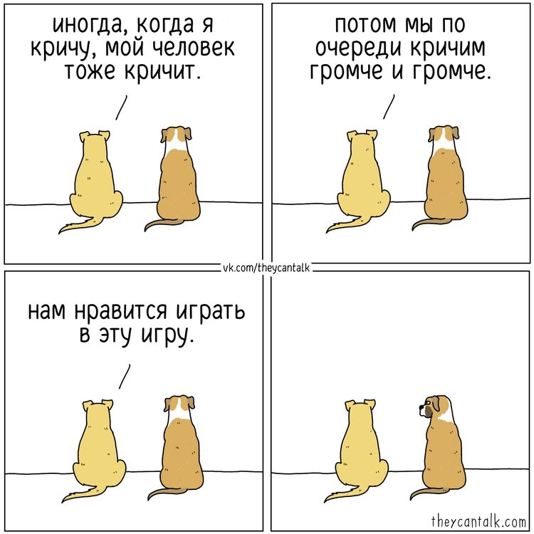 image-20250217101852-13