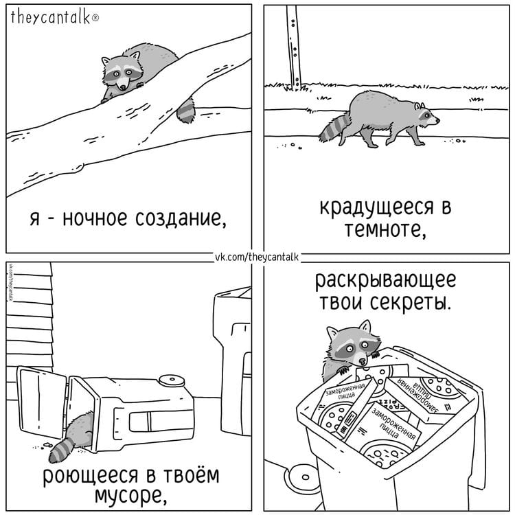 image-20250217101929-15