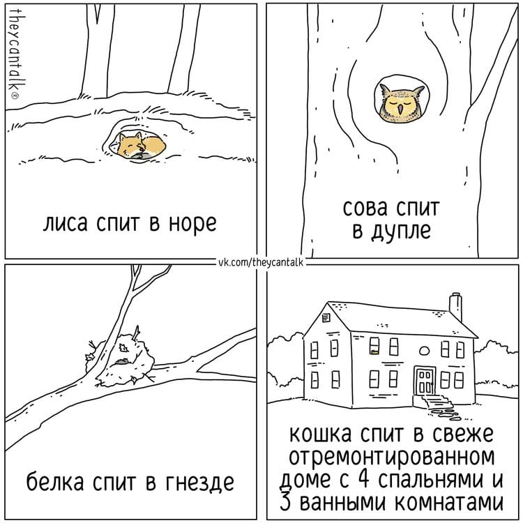 image-20250217101932-16