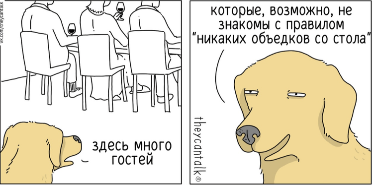 image-20250217101934-17