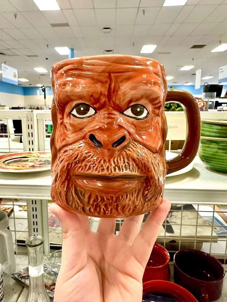 image-20250218152656-11