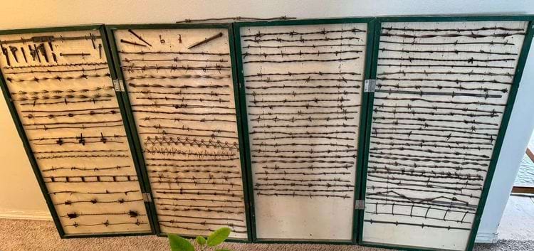 image-20250219144041-12