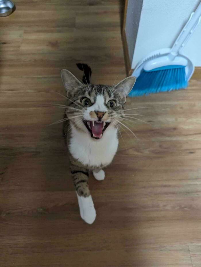 image-20250221170846-1