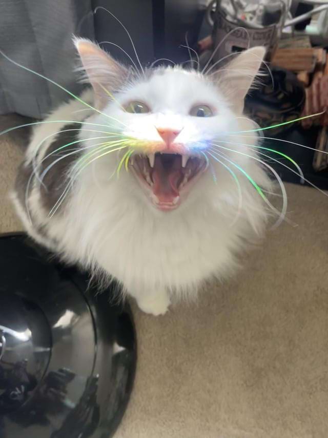 image-20250221170905-8