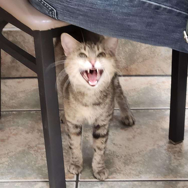 image-20250221170909-9