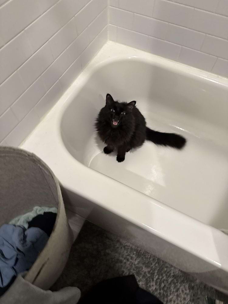 image-20250221170915-11