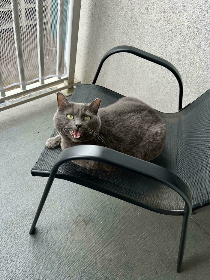 image-20250221171038-18