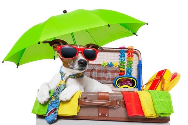 image-20250222182624-1