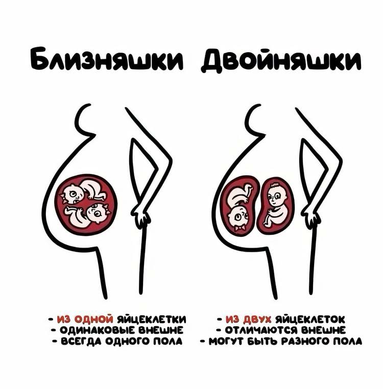 image-20250227125004-3