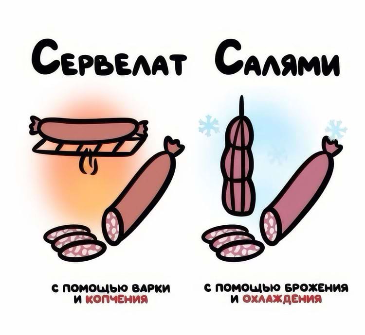 image-20250227125011-5