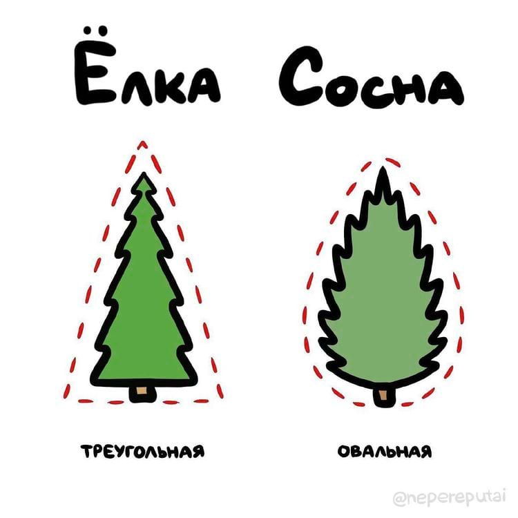 image-20250227125013-6