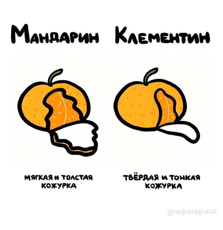 image-20250227125030-9