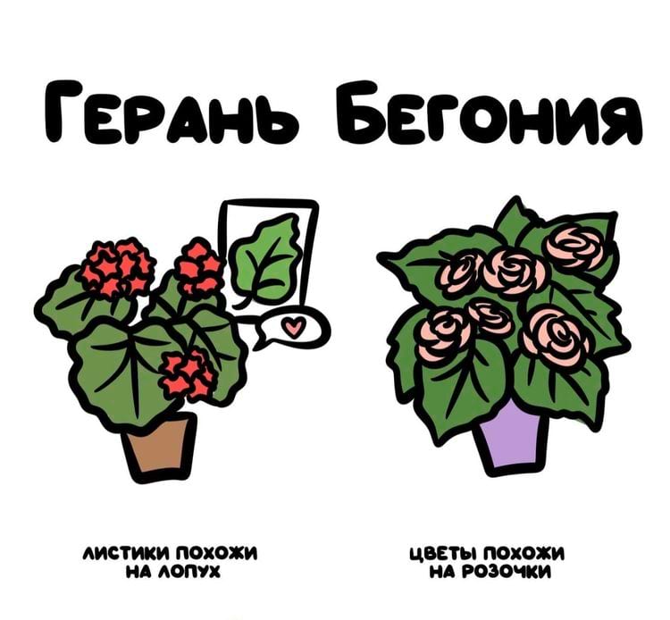 image-20250227125033-10