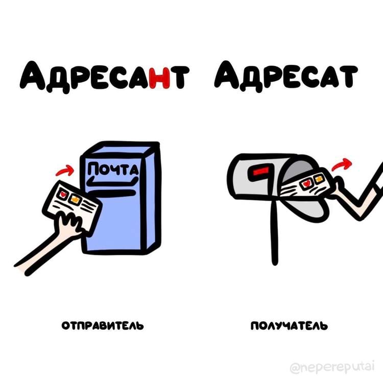 image-20250227125036-11