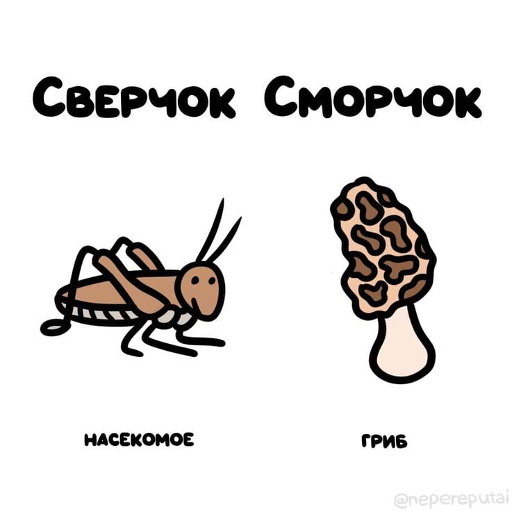 image-20250227125256-20