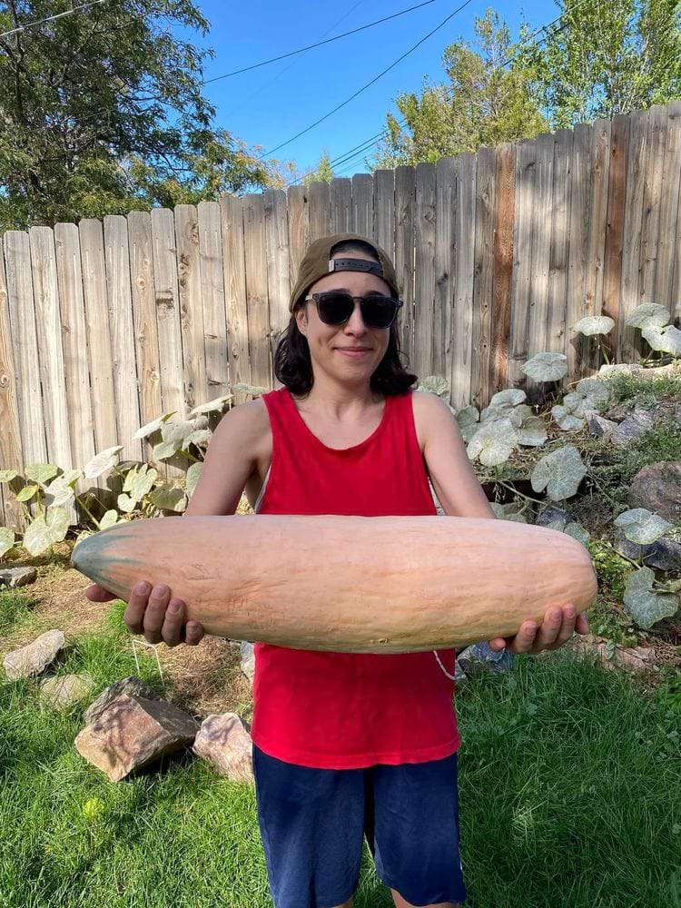 image-20250228133733-2