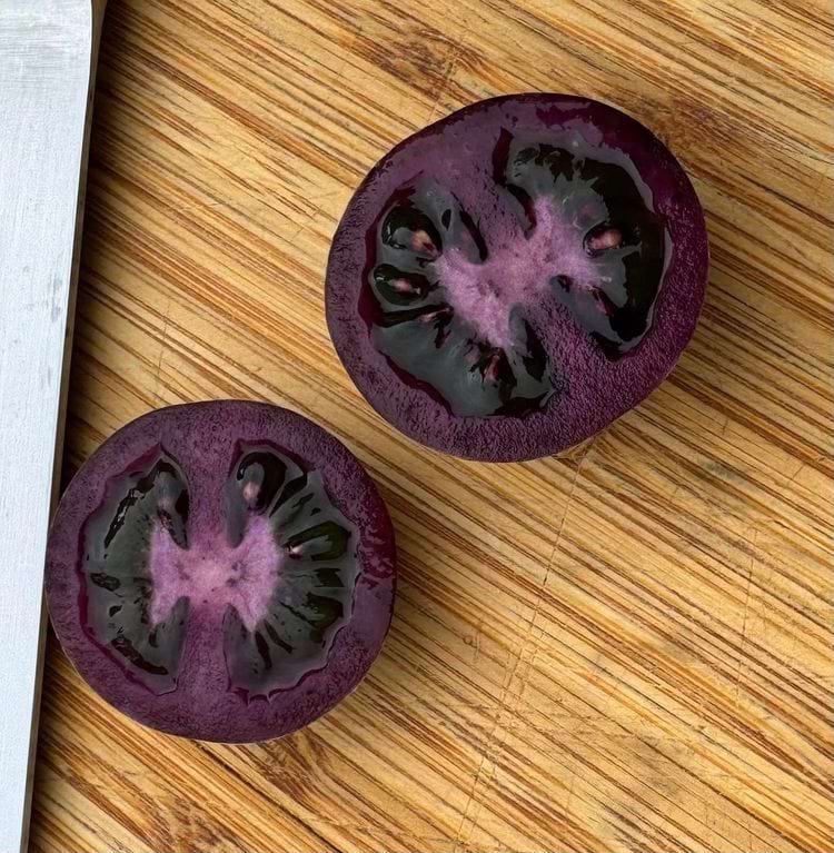 image-20250228133817-15