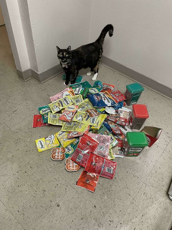 image-20250228155834-12