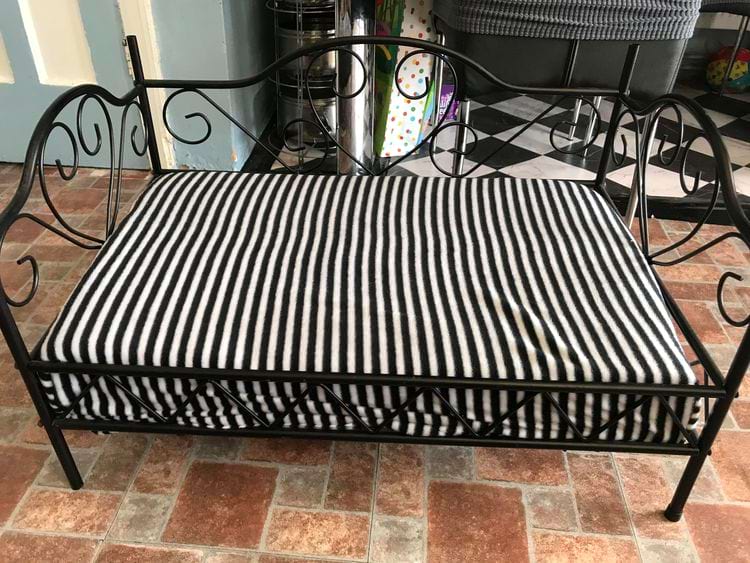 image-20250228155837-13