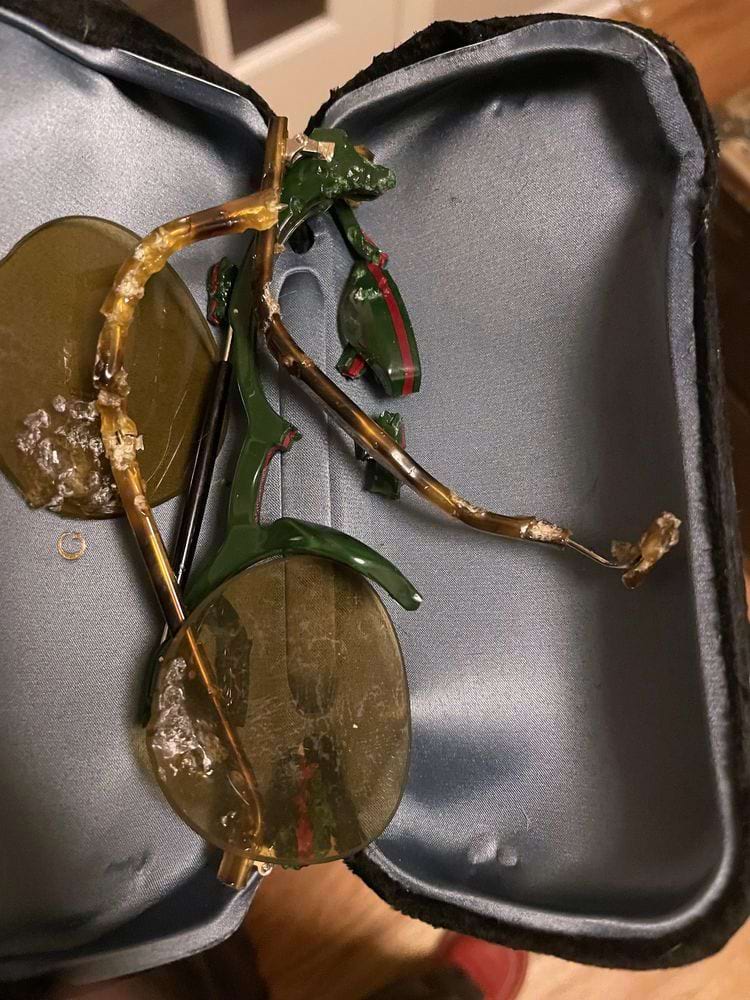 очки после того как их пожевала собака