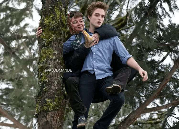 image-20250311124838-10