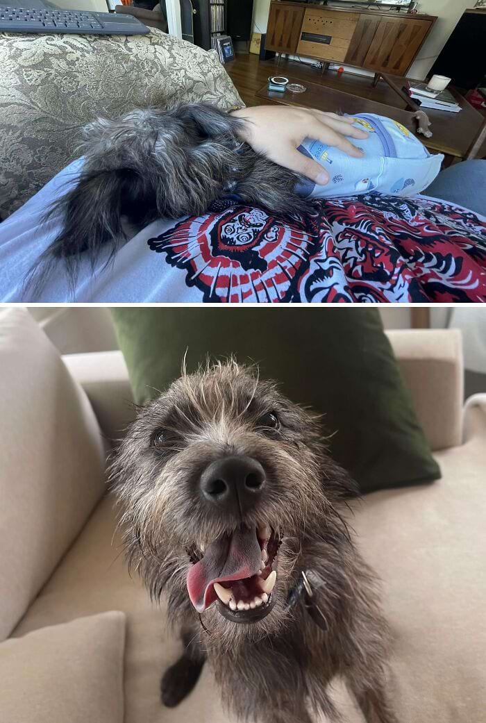 image-20250311134054-3