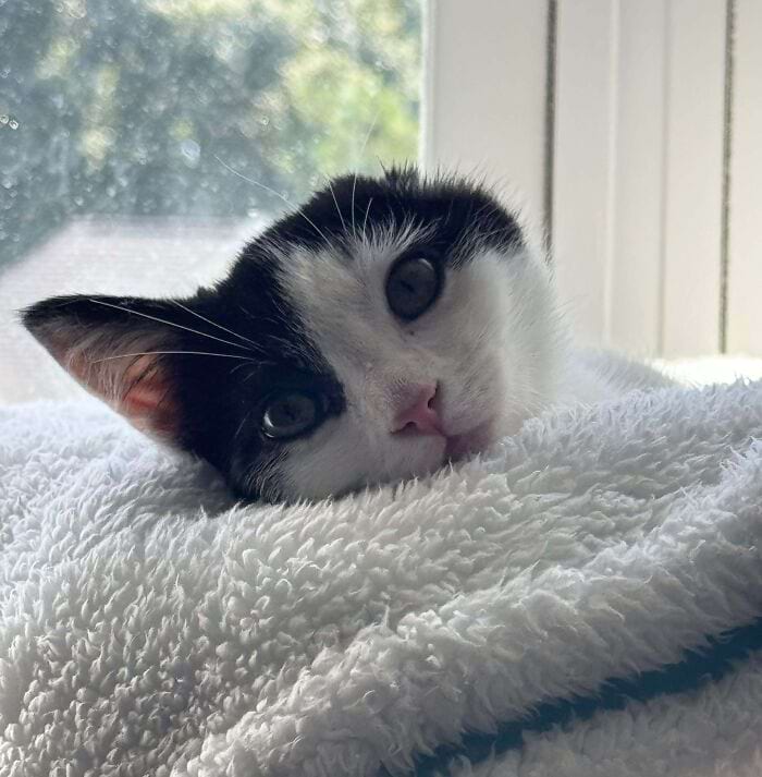 image-20250311134104-6