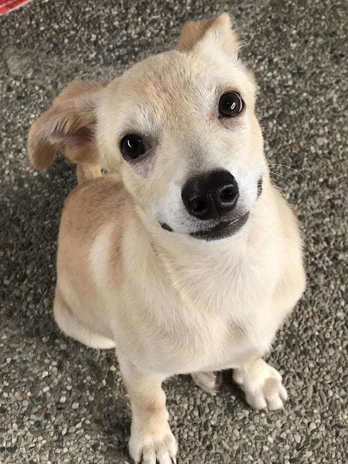 image-20250311134110-8