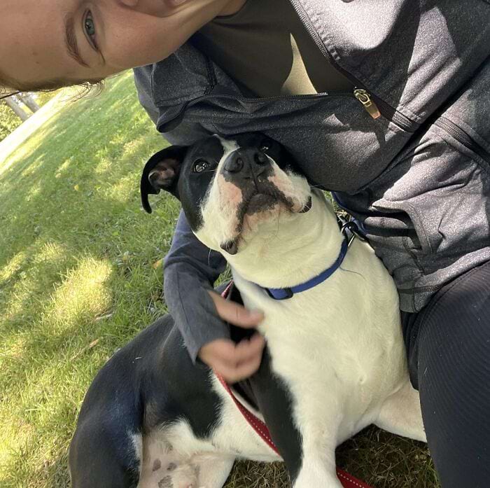 image-20250311134116-10