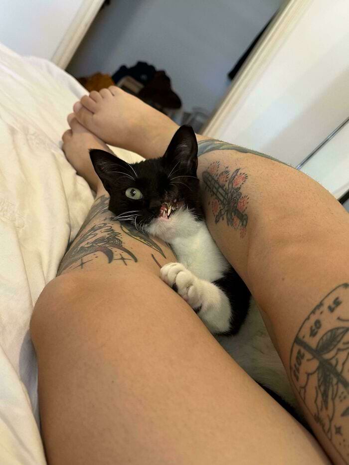 image-20250311134119-11