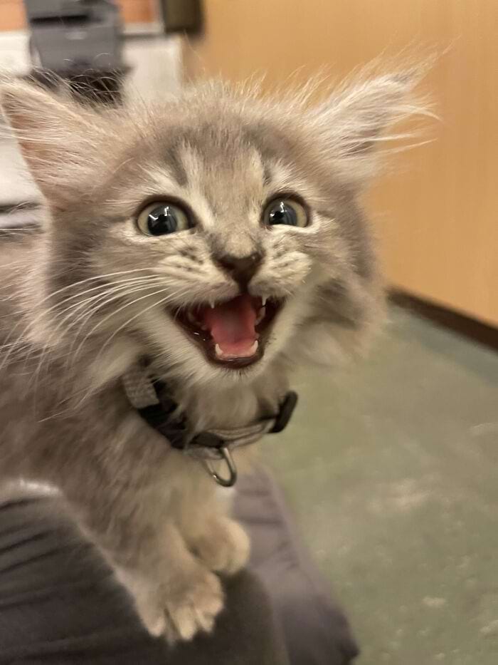 image-20250311134122-12